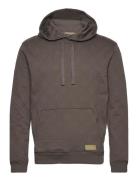 Jacquard Terry Hoodie Tops Sweatshirts & Hoodies Hoodies Brown Scotch & Soda