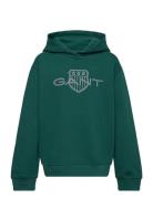 Relaxed Contrast Shield Hoodie Tops Sweatshirts & Hoodies Hoodies Green GANT