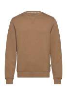 Sweatshirt - Pp Noos Tops Sweatshirts & Hoodies Sweatshirts Brown Blend