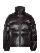 Retro Puffer Caviar Foret Jakke Black LEVI´S Women