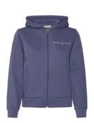 Reg Printed Graphic Zip Hood Tops Sweatshirts & Hoodies Hoodies Blue GANT