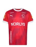 Dansk Håndbold Home Jersey Sport T-Kortærmet Skjorte Red PUMA