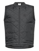 Vest Foret Vest Black Adidas Originals