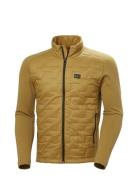 Lifa Loft Hybrid Insulator Jkt Sport Sport Jackets Gold Helly Hansen