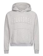 Hco. Guys Sweatshirts Tops Sweatshirts & Hoodies Hoodies Grey Hollister