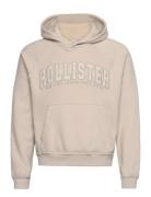 Hco. Guys Sweatshirts Tops Sweatshirts & Hoodies Hoodies Beige Hollister