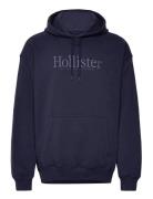 Hco. Guys Sweatshirts Tops Sweatshirts & Hoodies Hoodies Navy Hollister