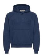 Hco. Guys Sweatshirts Tops Sweatshirts & Hoodies Hoodies Blue Hollister