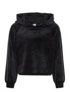 Sweatshirt Velour With Hood Tops Sweatshirts & Hoodies Sweatshirts Black Lindex