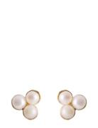 Bay Earsticks Accessories Jewellery Earrings Studs Gold Pernille Corydon