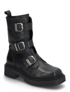 Clipper Boots Shoes Boots Ankle Boots Ankle Boots Flat Heel Black Steve Madden