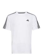 Adidas Train Essentials Base 3-Stripes Training T-Shirt Sport Men Sports Clothes Sport Tops Sport T-Skjorte White Adidas Performance