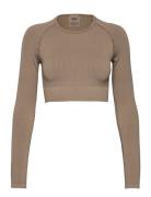 Ribbed Seamless Crop Long Sleeve Sport Crop Tops Long-sleeved Crop Tops Beige Aim´n