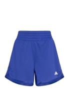 Pacer Knit High Sport Women Sport Clothing Sport Shorts Sport Training Shorts Blue Adidas Performance