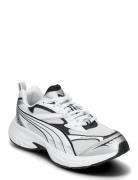 Puma Morphic Base Sport Women Sport Shoes Sport Sneakers Sport Low Top Sneakers Grey PUMA