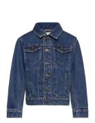 Denim Jacket Outerwear Jackets & Coats Denim & Corduroy Blue Tom Tailor