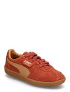 Palermo Sport Women Sport Shoes Sport Sneakers Sport Low Top Sneakers Brown PUMA