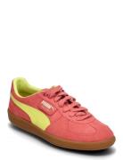 Palermo Sport Women Sport Shoes Sport Sneakers Sport Low Top Sneakers Coral PUMA