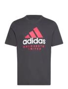 Manchester United Seasonal Graphic T-Shirt Sport Men Men Sports Clothes Sport Tops Sport T-Skjorte Black Adidas Performance