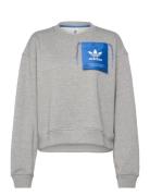 Ksenia Originals Label Sweatshirt Sport Women Sport Clothing Sport Sweatshirts & Hoodies Sport Sweatshirts Grey Adidas Originals