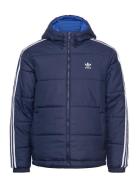 Adicolor Reversible Jacket Sport Men Sport Clothing Sport Outerwear Sport Jackets Sport Padded Jackets Navy Adidas Originals