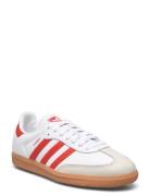 Samba Og W Sport Sport Shoes Sport Sneakers Sport Low Top Sneakers White Adidas Originals