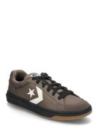 Pro Blaze Classic Sport Women Sport Shoes Sport Sneakers Sport Low Top Sneakers Brown Converse