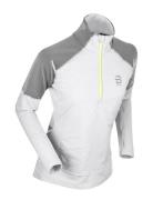 Long Sleeve Protection Wmn Sport Sport Clothing Sport Sweatshirts & Hoodies Sport Sweatshirts Grey Daehlie