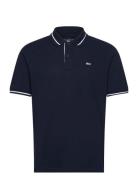 Tjm Reg Tipped Polo Tops Polos Short-sleeved Navy Tommy Jeans