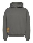 Lord Hoody Tops Sweatshirts & Hoodies Hoodies Grey Pas De Mer