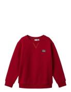 Nkmlore Ls Nreg Swe Bru Tops Sweatshirts & Hoodies Sweatshirts Red Name It