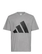 M Bl Sj T Sport Men Men Sports Clothes Sport Tops Sport T-Skjorte Grey Adidas Sportswear