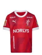 Dansk Håndbold Home Jersey Jr Sport T-Kortærmet Skjorte Red PUMA