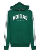 J C Colleg Hd Tops Sweatshirts & Hoodies Hoodies Green Adidas Sportswear