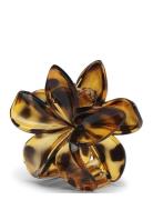 Plumeria Clarity Big Accessories Hair Accessories Hair Claws Brown SUI AVA