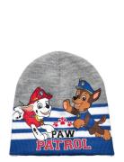 Cap Accessories Headwear Hats Beanie Grey Paw Patrol