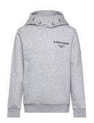 Borg Essential 1 Hoodie Tops Sweatshirts & Hoodies Hoodies Grey Björn Borg