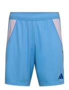 Tiro24 Sho Sport Sport Clothing Sport Shorts Sport Training Shorts Blue Adidas Performance