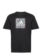 Sport Optimist Sun Logo Sportswear Graphic T-Shirt  Tops T-Kortærmet Skjorte Black Adidas Performance