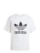 Trefoil Tee Sport Sport Clothing Sports Tops & T-shirts Sport T-Skjorte White Adidas Originals