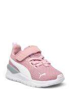 Anzarun Lite Ac Inf Sport Sports Shoes Running-training Shoes Pink PUMA