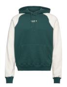 Hco. Guys Sweatshirts Tops Sweatshirts & Hoodies Hoodies Green Hollister