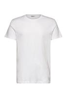 Centre T-Shirt Sport Men Men Sports Clothes Sport Tops Sport T-Skjorte White Björn Borg