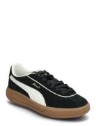 Puma Club Klassika Sd Sport Sport Shoes Sport Sneakers Sport Low Top Sneakers Black PUMA