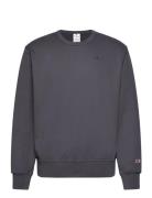 Crewneck Sweatshirt Tops Sweatshirts & Hoodies Sweatshirts Grey Champion