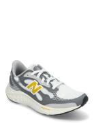 New Balance Freshfoam Arishi V4 Sport Men Sport Shoes Sport Running Shoes White New Balance