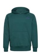 M Raglan Box Nse Hoodie Sport Sport Clothing Sport Sweatshirts & Hoodies Sport Hoodies Green The North Face