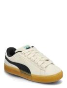 Suede Xl Dark Risk Sport Sport Shoes Sport Sneakers Sport Low Top Sneakers Beige PUMA