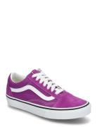 Old Skool Sport Sport Shoes Sport Sneakers Sport Low Top Sneakers Purple VANS