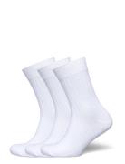 Cotton Rib Socks 3-Pack Lingerie Socks Regular Socks White Weekday